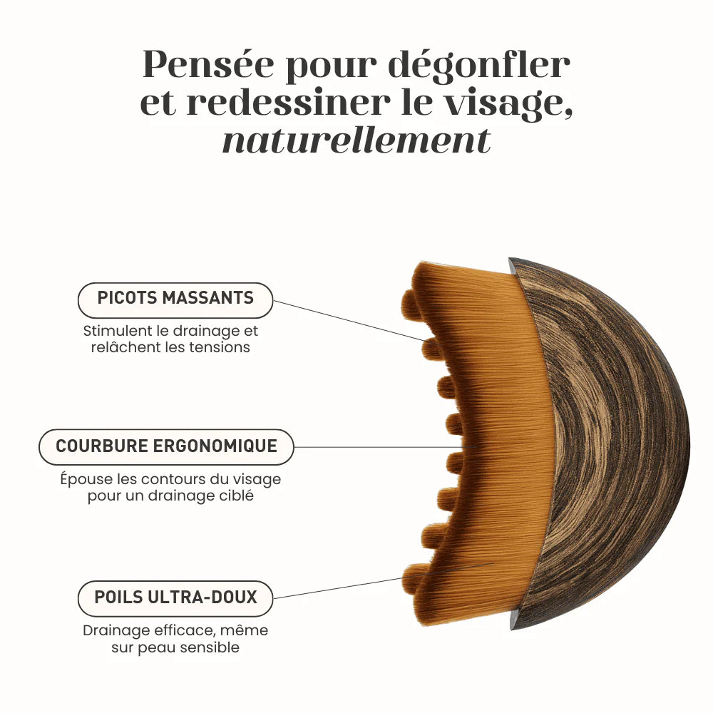 LuzSculpt™ - Brosse Lymphatique